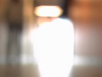 M&eacute;canique des id&eacute;es