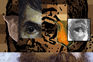 Self Portrait(s) [as Other(s)]