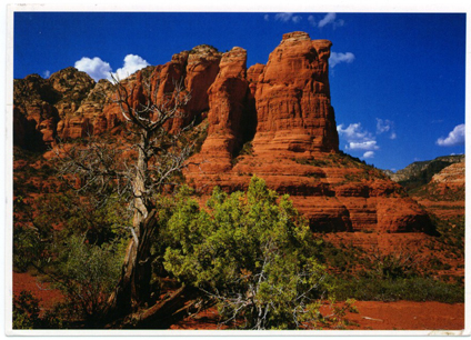Postcard