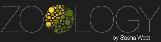 LAUNCH PROJECT