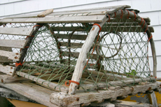 Old wooden lobster trap
