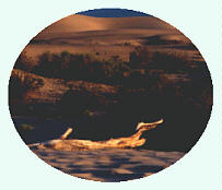 DFTWD2.JPG (8728 bytes)