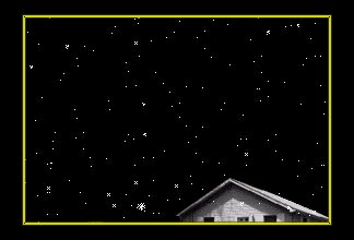 The Intruder: Natalie Bookchin